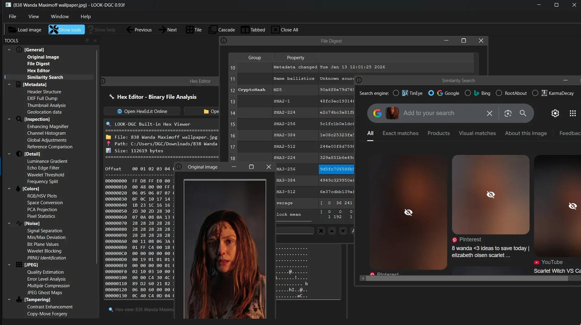 Gopichand Dandimeni cybersecurity screenshot 3